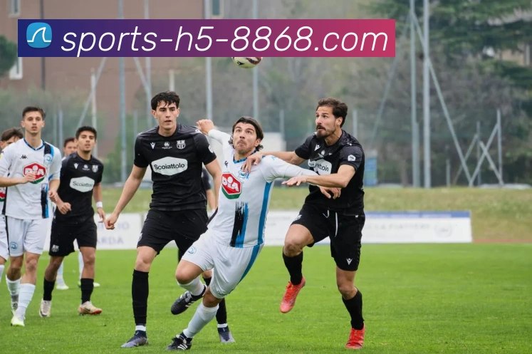 8868体育APP 封面图