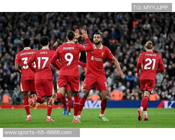 英超六强欧冠战绩分析利物浦失利曼城遭遇绝平枪手蓝军双双取胜